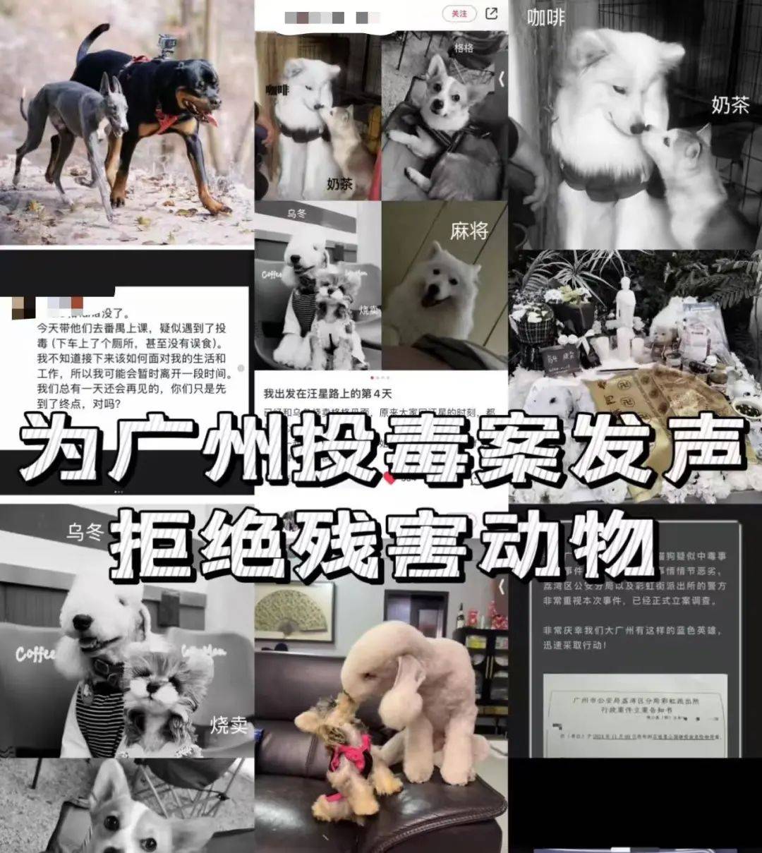 夕文墨